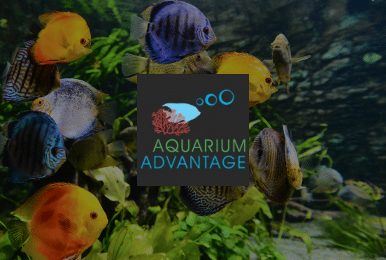 Aquarium Advantage Website