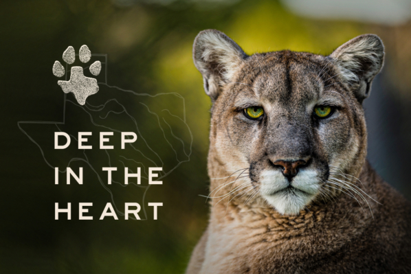 DEEP IN THE HEART