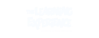 The Learning Experience
